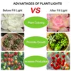 Grow Lights Plant Light Cup LED 220V E27 Crescita Lampadina Spettro rosso e blu 486080126200300led Riempimento fai da te