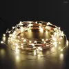 Dizeler ICOCO USB LED String Işık Su Geçirmez Peri Noel Işıkları Açık Luces Decoracion Bakır Tel Çar