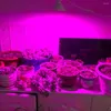 Grow Lights Plant Light Cup LED 220V E27 Growth Bulb Red And Blue Spectrum 486080126200300leds DIY Fill