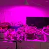 Grow Lights Plant Light Cup LED 220V E27 Crescita Lampadina Spettro rosso e blu 486080126200300led Riempimento fai da te