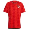 National Team Wales GUNTER Soccer Jersey Qatar World Cup AMPADU MORRELL WILSON WILLIAMS HENNESSEY MEPHAM BALE JOHNSON JAMES RAMSEY DAVIES Football Shirt Kits