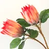 Sztuczny bukiet kwiatowy pojedynczy gałąź Protea Symulowana gromadzenie wieńca roślinnego do stolika ozdobnego