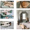 Cat Furniture Scratchers Foldable Tunnel Tube Upgraded Bed Interactive Drill Channel Pet Supplies Games Teasing Toys Accessories 220920