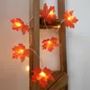 Строки XSKY Светодиодные струны Fairy Garland Light 1,5 м 2 м. Растения. Забор.