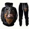 Men's Tracksuits German Shepherd 3D Printed Men's Hoodies Sweatshirt Set Men/Women Sport And Casual Unisex Clothing Male Suit