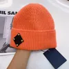 Großhandel Designer Beanie Hut Luxurys Mode Kaschmir Strickmütze Frauen Frauen Snapback Caps Maske Unisex Classic Winter Casual Outdoor Mode Hüte
