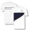 T-shirts F1 T-shirts d'équipe de Formule 1 Costumes de course pour fans de voitures de sport pour hommes294F