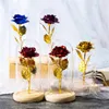 Partybevorzugung Valentinstagsgeschenk Ewige Rose LED-Lichtfolienblume in Glasabdeckung für Freundin, Mütter, Hochzeitsbevorzugungen, Jahrestag
