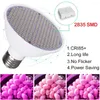 Grow Lights Plant Light Cup LED 220V E27 Crescita Lampadina Spettro rosso e blu 486080126200300led Riempimento fai da te