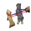 Dog Collars Adjustable 2 In 1 Retractable Nylon Leash Couple Way Pet Double For Walking Two Small Dogs Teddy