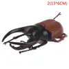 Maschere per feste 6 Stile 13 cm Simulazione Giocattoli scarabeo Modello realistico speciale Insetto Giocattolo Scuola materna Sussidi didattici Scherzo