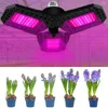 Rosną światła LED lampa fito lampa E27/E26 Pełna spektrum światła Culbon AC85-265V Sadzonki wewnętrzne Flower Namiot Pudełko IP65 Wodne