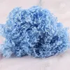Decorative Flowers Christmas Natural Dried Preserved Hydrangea Branch Head Can Be Matched With Valentines Day Gifts Edding Decoration