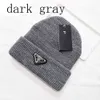 Knitted Hat Fashion Triangle P Letter Printing Cap Popular Warm Windproof Stretch Multicolor Highquality Beanie Hats Persona5020930