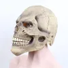 Feestmaskers realistische schedel vol hoofd griezelige Halloween cosplay latex prop club kostuum rekwisieten grappige volwassen 220920