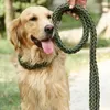 Colliers pour chiens Corde de traction moyenne et grande 1,3 m Entraînement extérieur Nylon Bold Metal Chaîne anti-morsure Collier de sécurité pour animaux de compagnie