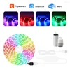 Strips Tuya RGB Led Strip USB Lights SMD Wifi TV Lighting Multicolor Smart Backlight For Life Christmas Room Decor