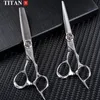 Ножницы ножницы Titan Professional Hairdresser Ncissors парикмахерские парикмахерские волосы.