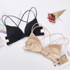 Stage Wear Sexy Latin Dance Bra Top Accessories Dancer'S Clothes Underwear Costumes SL2186