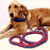 Colliers pour chiens Corde de traction moyenne et grande 1,3 m Entraînement extérieur Nylon Bold Metal Chaîne anti-morsure Collier de sécurité pour animaux de compagnie