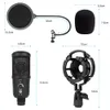 USB Recording Condenser Microphone Kit 192kHz Gaming Podcast Streaming Mic with Arm&Ring Light Studio Computer Video Microphone