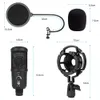 USB تسجيل مكثف Microphone Kit 192 كيلو هرتز ألعاب البودكاست البودكاست البودكاست مع Armring Light Studio Computer Video Microphone