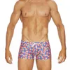 Roupas de banho masculinas masculino de banho de banho com push push short de boxer sexy de boxer sexy