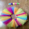 Rec￩m -nascidos Baby Photography Props Salia com banda de cabelo Multicolor Infant Saias de Tutu Rainbow Fotografia Photo Props Roupas 20220921 E3