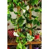 Decorative Flowers 90 Inch Artificial Vines Morning Glory Hanging Plants Fake Greenery Leaves Garden Wedding Fence Decor White