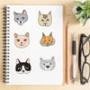 Förpackning med 50st Cartoon Cat Stickers Dog Sticker No-Duplicate Waterproof Vinyl Graffiti Sticker For Bagage Skateboard Notebook Water Bottle CAR CAR DECALS barnleksaker