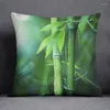 Travesseiro de travesseiro Bamboo Forest Pattern Series Gift Home Office Decoration Bedroom Sofá Cushion Capa travesseiro