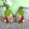 Succulent Gnomes Green Plants Tiered Tray Decoration Plush Tomte Doll Decor Cacti Nordic Dwarf Garden Gifts RRE14394