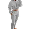 Sonbahar Kış Peluş Terzini Kadın 2022 İki Parçalı Kapüşonlu Üst Jogging Suit Sweatpants Hoodie Set Terozları