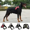 Colliers pour chiens 2023 harnais réglable pour animaux de compagnie grande sortie gilet collier dragonne pour petits et chiens Pitbulls