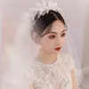 Headpieces Mori Style Veil Romantic Fairy Beautiful Lace Flower French Short Modeling Wedding Hair Ornament