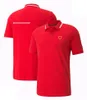 F1 Team Lapel Polo Shirts Formel 1 Drivers Racing T-shirts Korta ärmar Bilfans Summer andningsbara överdimensionerade T-skjortor herrtröjor