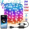 Strisce LED Filo di rame Starry Fairy Lights Alimentato tramite USB 150 String Bluetooth APP Control Christmas Twink Lamps