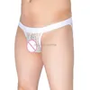 Slip hommes dentelle transparente Bikini slips sous-vêtements ceinture élastique Cheeky slip Calzoncillos Gay hommes Sexy
