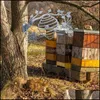 Dekoracja imprezy metalowa pszczoła Hive ogrodowe Ula sylwetka domek na zewnątrz drzewo drzewa sztuka wisząca gałąź dekoracyjne ozdoby 2010 dhtew