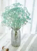Decorative Flowers Natural Dried Flower Babysbreath Colorful Gypsophila HolidayPographyBackdrop Po Props Office Home Party Table Decoration