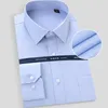 Camisas de vestido masculinas pura algodão não iron cuidados fáceis homens negócios casamento confortável confortável listrado listrado