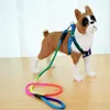 Dog Collars Colorful Leash Rope For Small Large Dogs Pet Puppy Pitbull Harness Collar Cat Lead Product