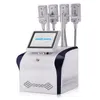 Cryo Therapy Body Slimming Body 형태 4 핸들 무료 모양 EMS Cryolipolysy Plate Machine