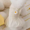 Hundebekleidung 2022 Sommer Gänseblümchenkleid Haustierkleidung Süße Hosenträgerkleider Katzenrock A-Linie Weste Kleidung Gelb Mädchen Jungen Teddy