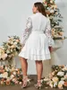 Plus Size Dresses Simple Autumn Lantern Sleeve Office Elegant Dress White Lace Belt Hollow Out Solid Crew 4xl A-Line 2022