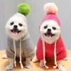 Dog Apparel With Ball Cartoon Sweater Dogs Cat Pet Autumn and Winter Clothes Pet Supplies