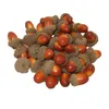 Party Decoration 50sts ACORN FALSE LITA LIVLIGA KONTRAKA PO POPS NUTS Supplies Decor for Home El Kitchen