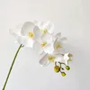 Fiori decorativi White Phalaenopsis Flower Design Decorazioni per la casa essiccate artificiali Decorazione di nozze per decorazioni Forniture per feste festive