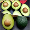 Decorazione per feste Avocado Mini artificiale per la casa Ornamento Giochi di finzione Forniture per simulazioneGiardino Fiera Giochi di ruolo per bambini Verdure Fai da te