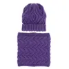 Herfst winter dames beanie en sjaal 2pc set mode gebreide muts nekkeek voor vrouwen groothandel